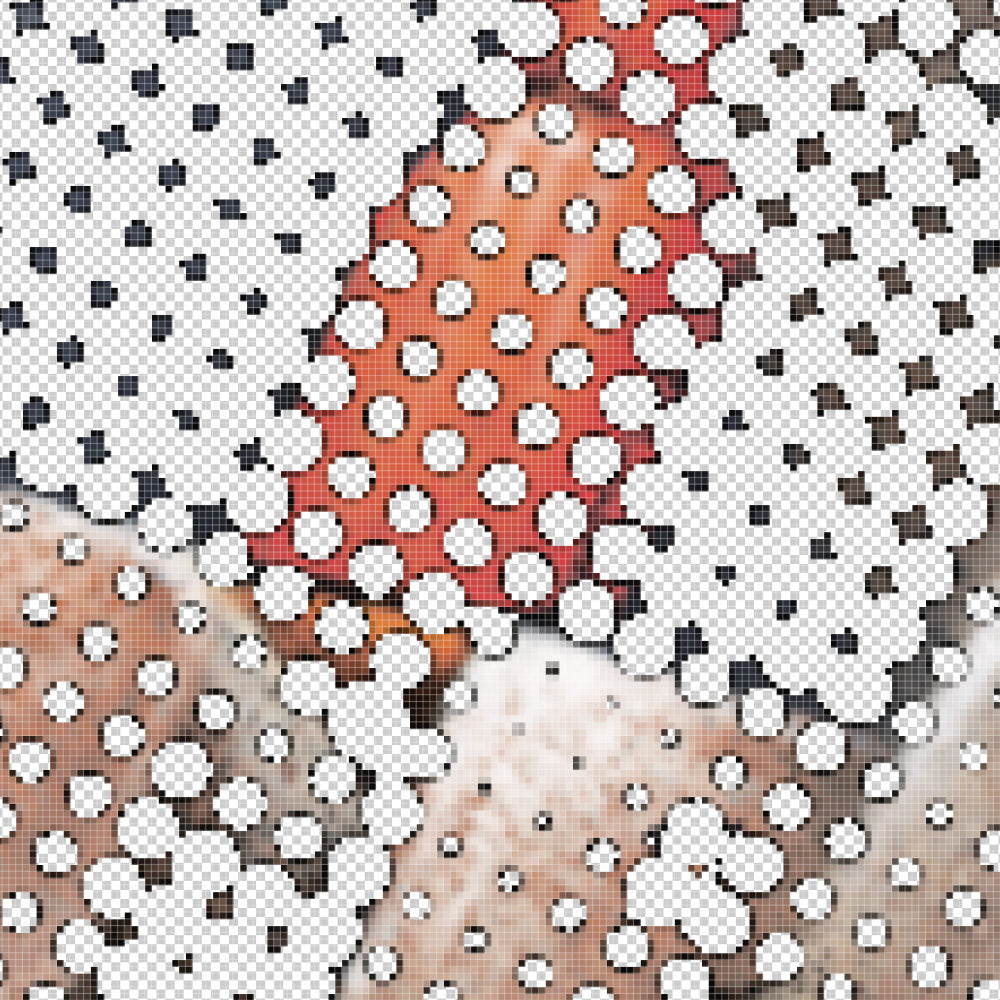 DTF Halftone Service | Smooth Gradients & Shadow Effects Done the Right Way