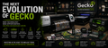 The Next Evolution of Gecko – New Technology, New Opportunities